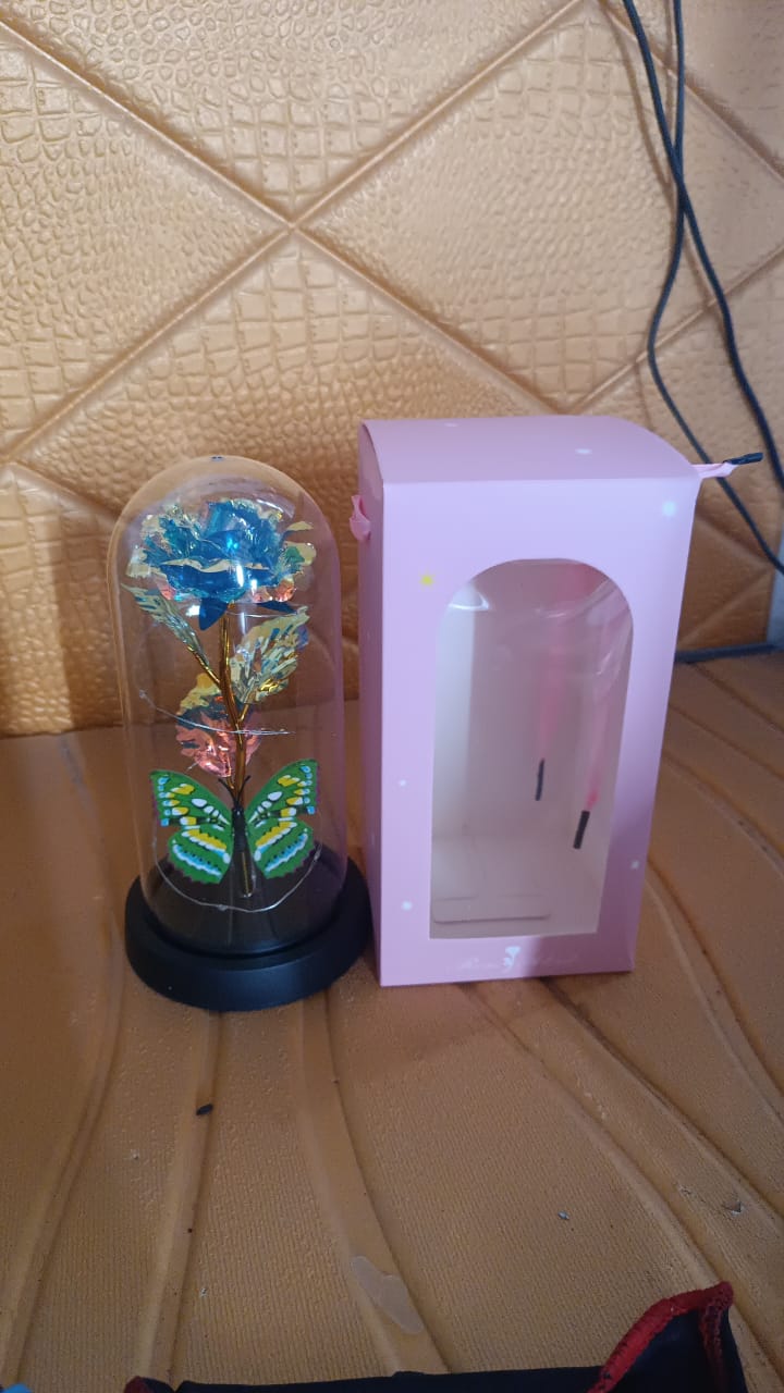 LED-Powered Eternal Rose in plastic Dome (1 Pc / Battery not Included) LED-Powered Eternal Rose in plastic Dome (1 Pc / Battery not Included)